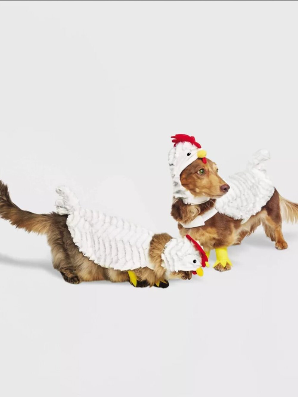 Chicken Full Body Halloween Dog and Cat Costume
